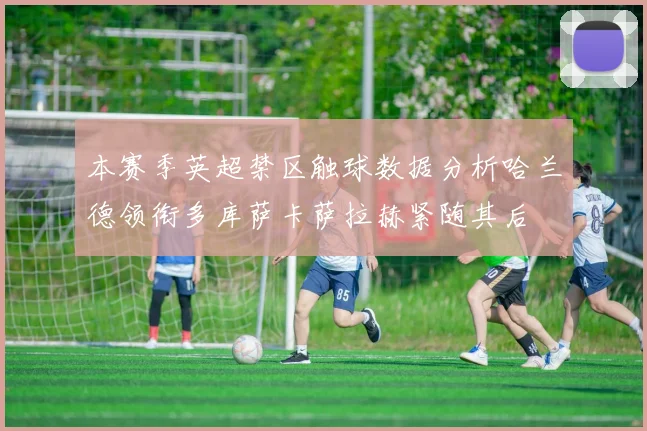 本赛季英超禁区触球数据分析哈兰德领衔多库萨卡萨拉赫紧随其后