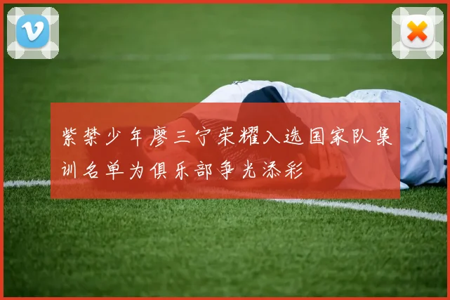 紫禁少年廖三宁荣耀入选国家队集训名单为俱乐部争光添彩